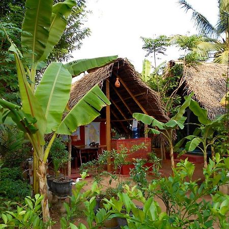Homestay Camping Anuradhapura Exteriör bild