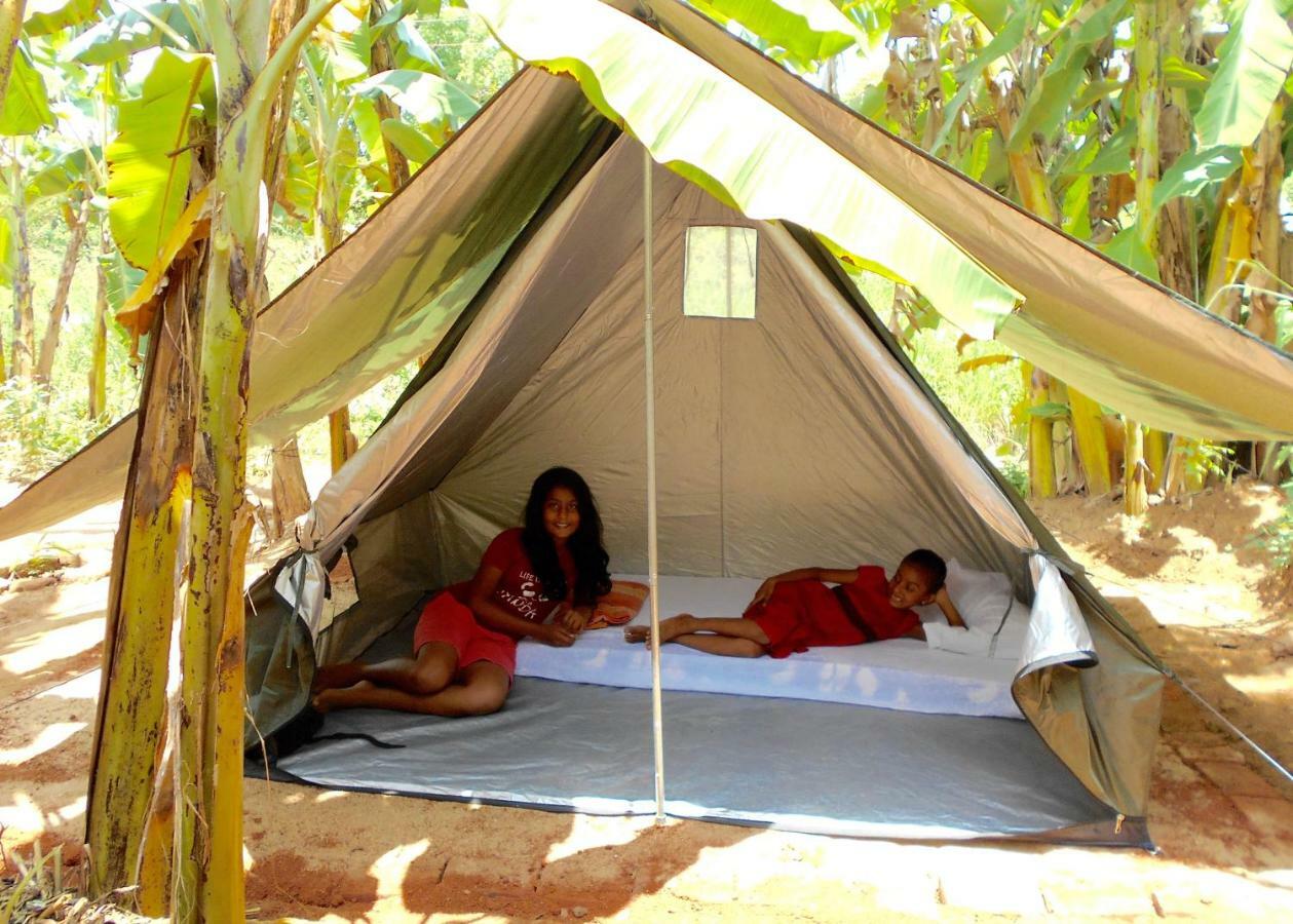 Homestay Camping Anuradhapura Exteriör bild
