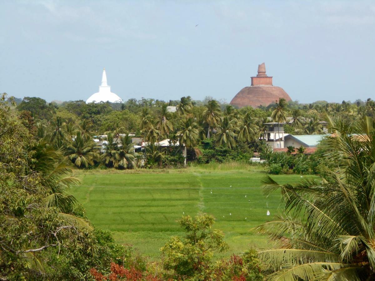 Homestay Camping Anuradhapura Exteriör bild