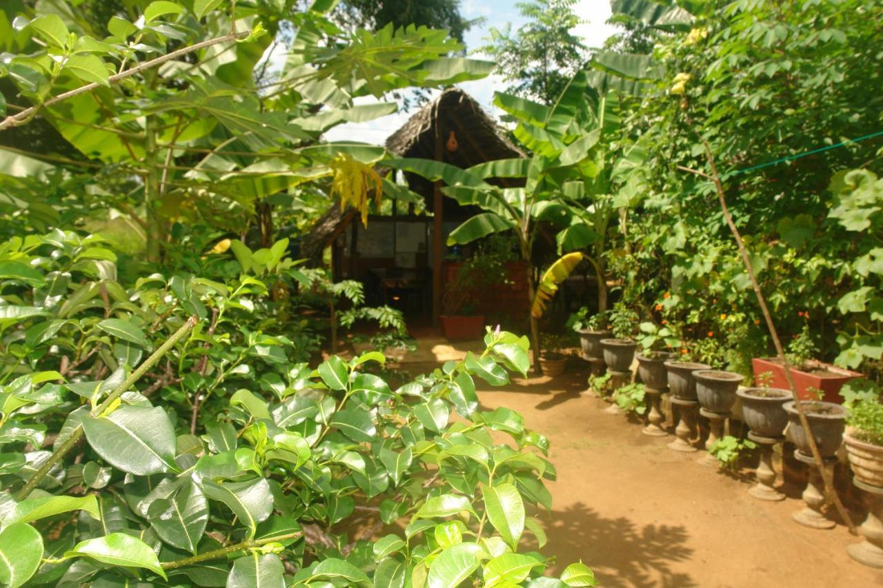 Homestay Camping Anuradhapura Exteriör bild