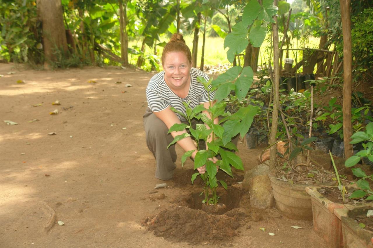 Homestay Camping Anuradhapura Exteriör bild